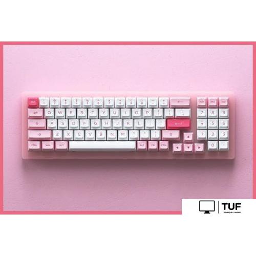 Клавиатура Akko ACR 98 Mini Prunus Lannesiana (Akko CS Jelly White)