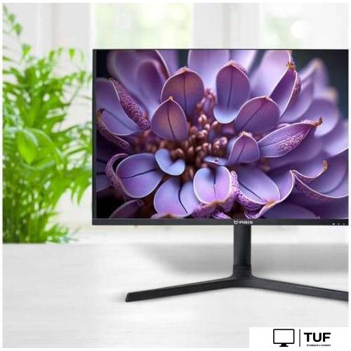 Монитор IRBIS NobleView IMVW32QIDL