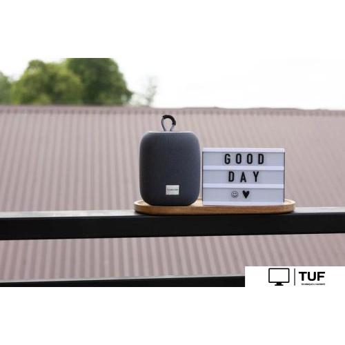 Беспроводная колонка Canyon BSP-8 (черный)