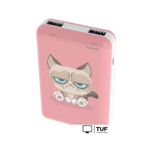 Внешний аккумулятор Ritmix RPB-10007 (сердитый кот)