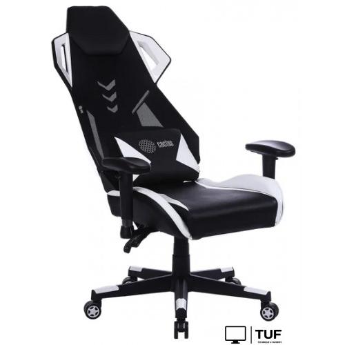 Игровое (геймерское) кресло CACTUS CS-CHR-090BLW (черный/белый)