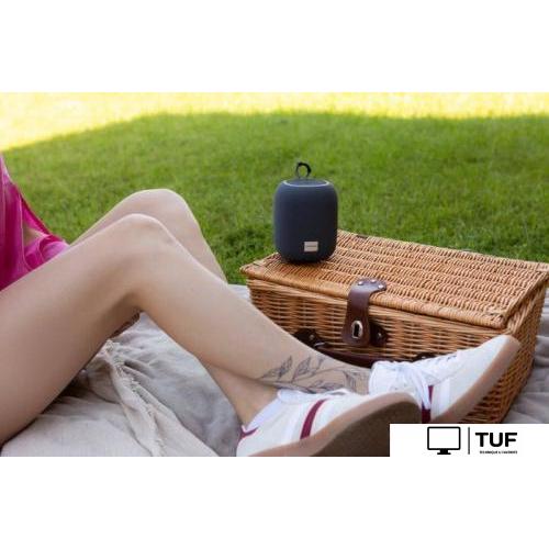 Беспроводная колонка Canyon BSP-8 (черный)