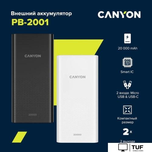 Внешний аккумулятор Canyon PB-2001 20000mAh (белый)