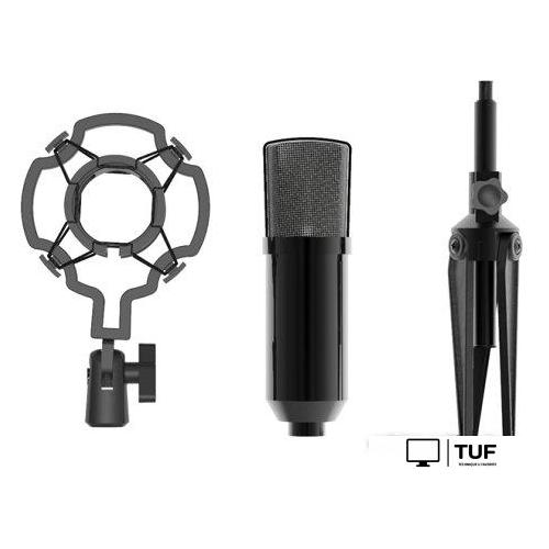 Проводной микрофон Ritmix RDM-160