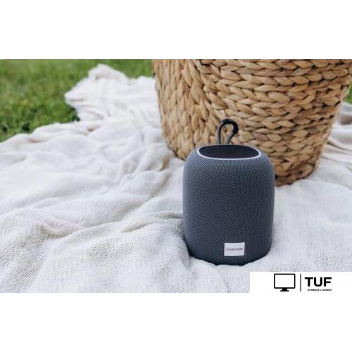Беспроводная колонка Canyon BSP-8 (черный)