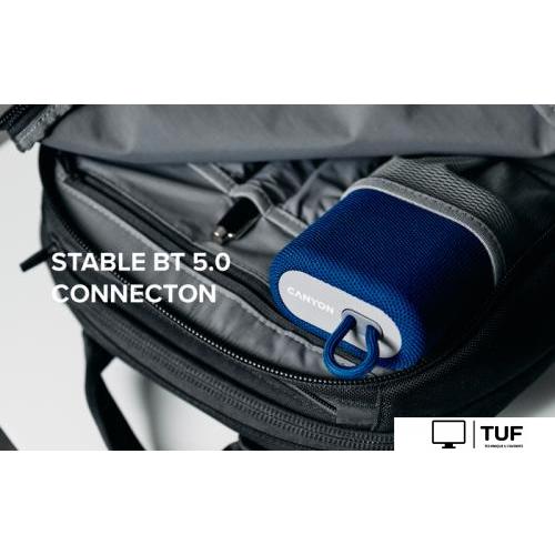 Беспроводная колонка Canyon BSP-4 (серый)