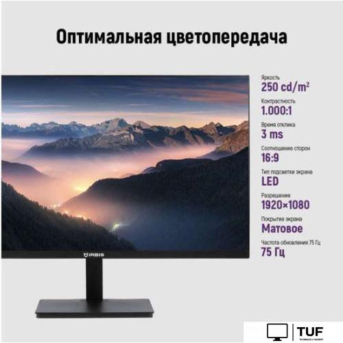 Монитор IRBIS ISM24FIDVesa