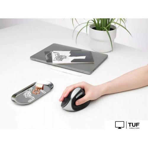 Вертикальная мышь Rapoo EV250 (черный)