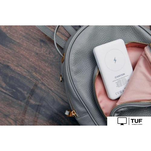 Внешний аккумулятор Canyon PB-1001 10000mAh (белый)