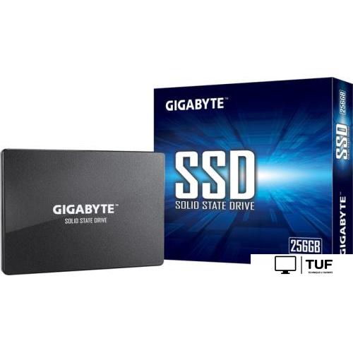 SSD Gigabyte 256GB GP-GSTFS31256GTND