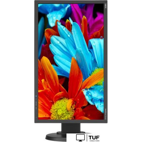 Монитор NEC MultiSync E224Wi Black/Black