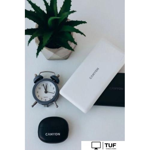 Внешний аккумулятор Canyon PB-109 10000mAh (белый)