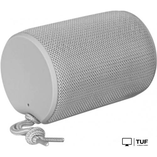 Беспроводная колонка TFN Play (серый)