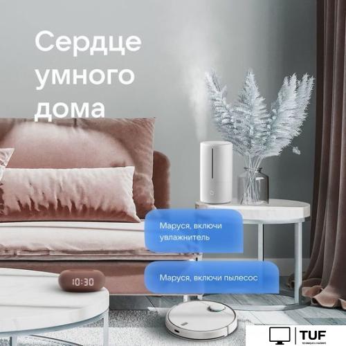 Умная колонка VK Капсула Мини (терракотовый)