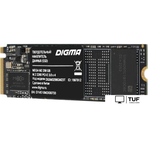 SSD Digma Mega M2 256GB DGSM3256GM23T
