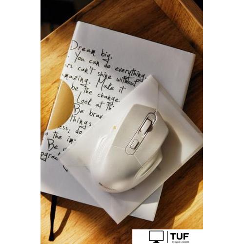 Мышь Canyon MW-15 (белый)