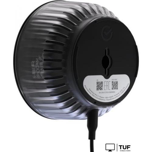 Умная колонка Sber SberBoom Mini 2 (квантовый черный)