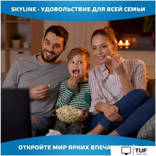 Телевизор Skyline 43LST6385