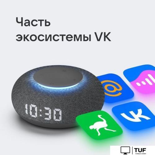 Умная колонка VK Капсула Мини (темно-серый)