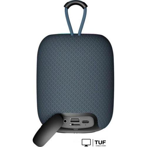 Беспроводная колонка Canyon BSP-8 (серый)