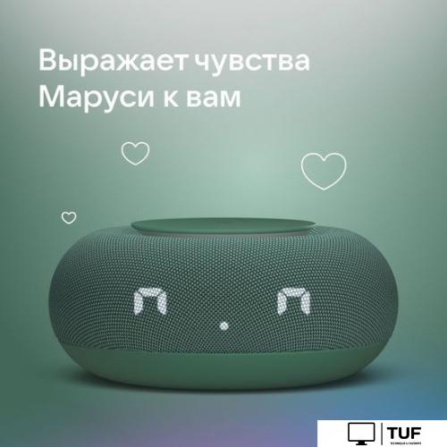 Умная колонка VK Капсула Мини (хвойный зеленый)