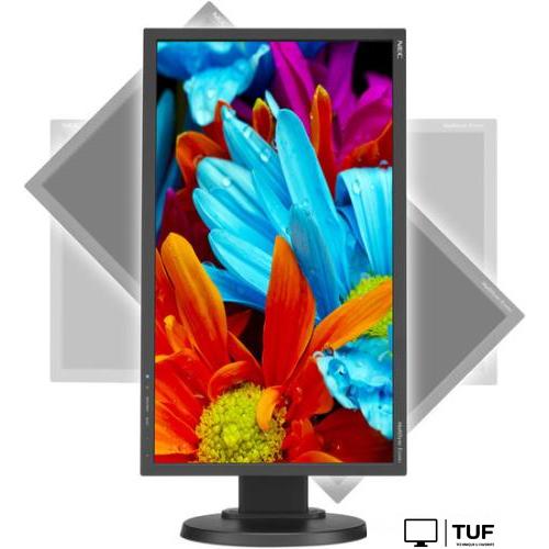 Монитор NEC MultiSync E224Wi Black/Black