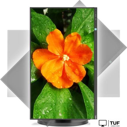 Монитор NEC MultiSync E271N-BK