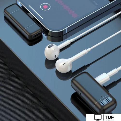 Радиосистема Miru MIC005