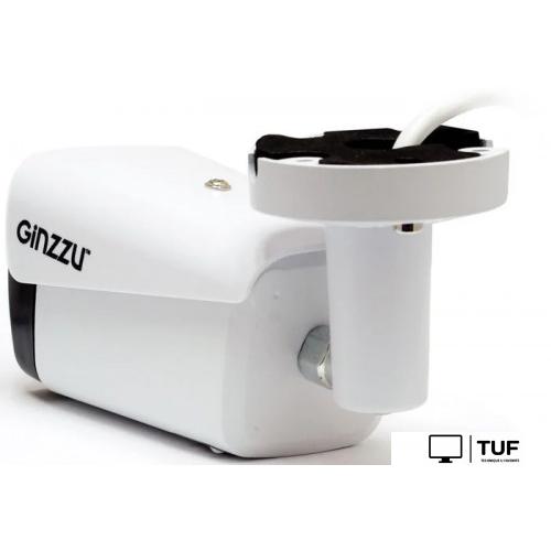 IP-камера Ginzzu HIB-5303A