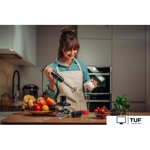 Погружной блендер AccesStyle HB8041B