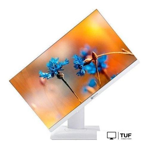 Моноблок ТЕСЛА P24WP 2116500