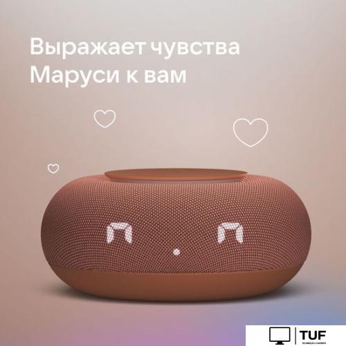 Умная колонка VK Капсула Мини (терракотовый)