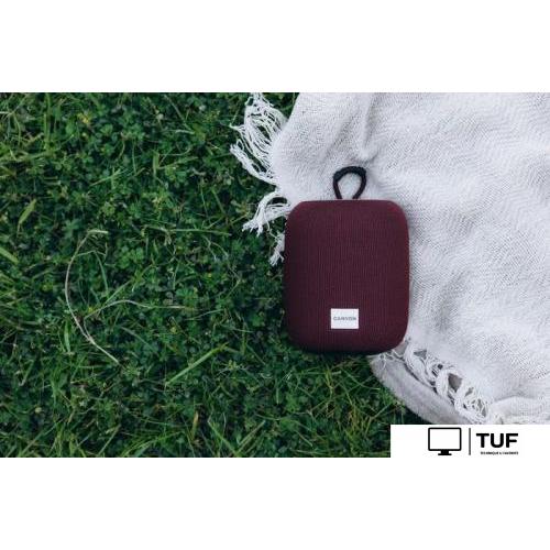 Беспроводная колонка Canyon BSP-8 (черный)