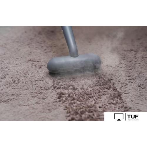 Пароочиститель Bort BDR-3000-RR