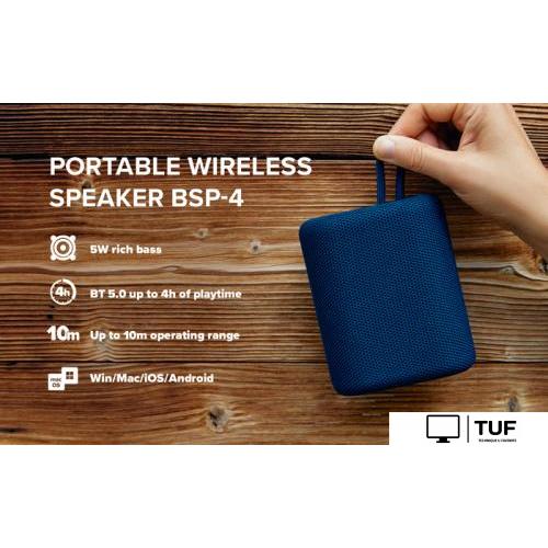 Беспроводная колонка Canyon BSP-4 (серый)