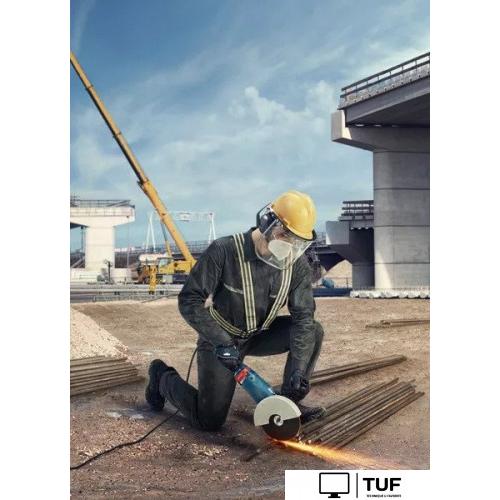 Угловая шлифмашина Bosch GWS 24-180 JZ Professional 06018C2300