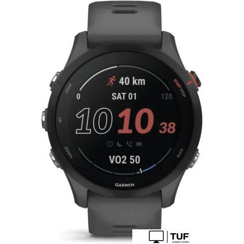 Умные часы Garmin Forerunner 255 (сланцево-серый/черный)