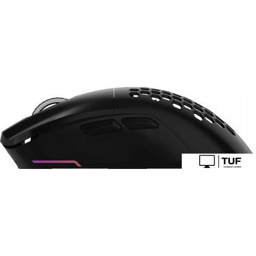 Игровая мышь Оклик 900GMW (черный)