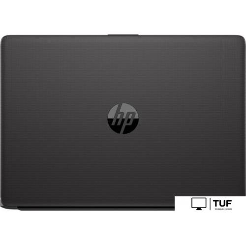 Ноутбук HP 240 G8 43W62EA