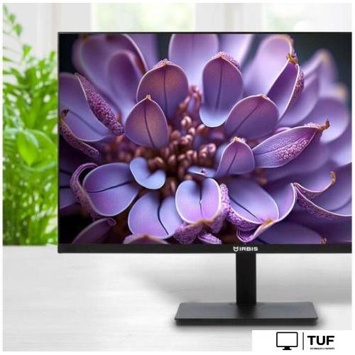 Монитор IRBIS ISM24FIDVesa