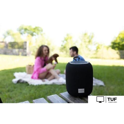 Беспроводная колонка Canyon BSP-8 (черный)