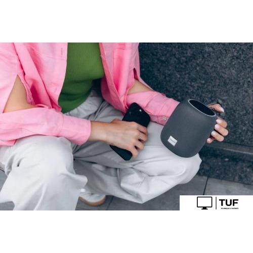 Беспроводная колонка Canyon BSP-8 (черный)