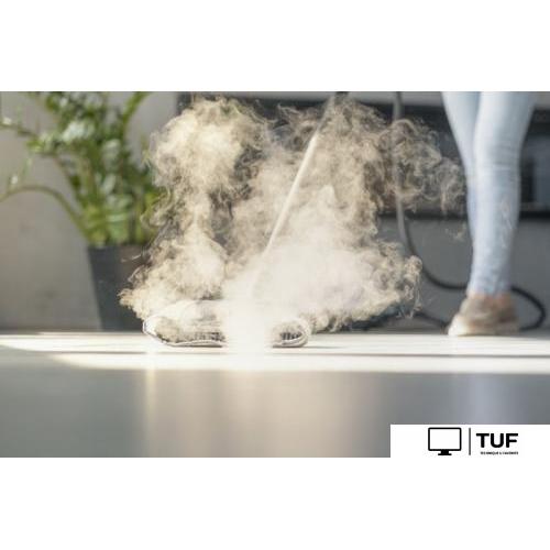 Пароочиститель Bort BDR-2700-R