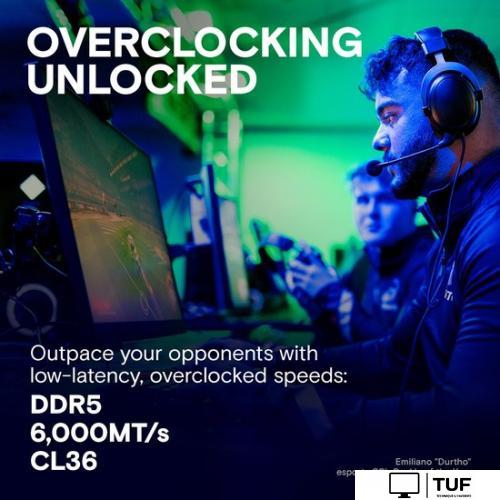 Оперативная память Crucial Pro Overclocking Edition 2x16ГБ DDR5 6000 МГц CP2K16G60C36U5B
