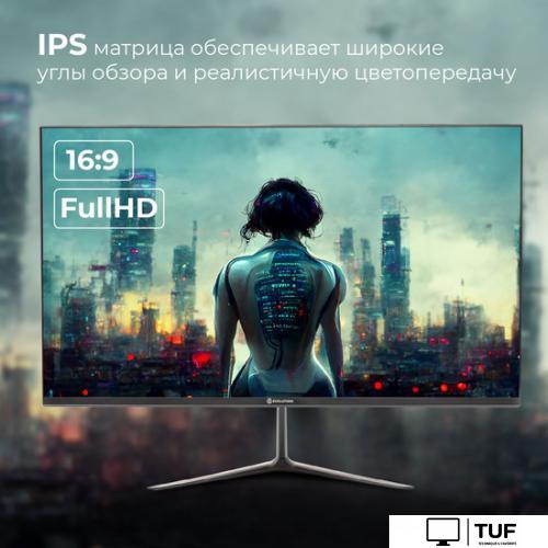 Игровой монитор Evolution GX24iC IPS