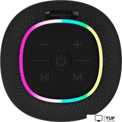 Беспроводная колонка Canyon BSP-8 (черный)