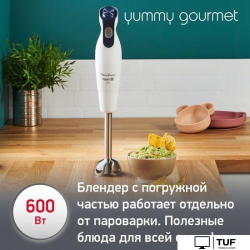 Погружной блендер Moulinex Yummy Gourmet DD55W110