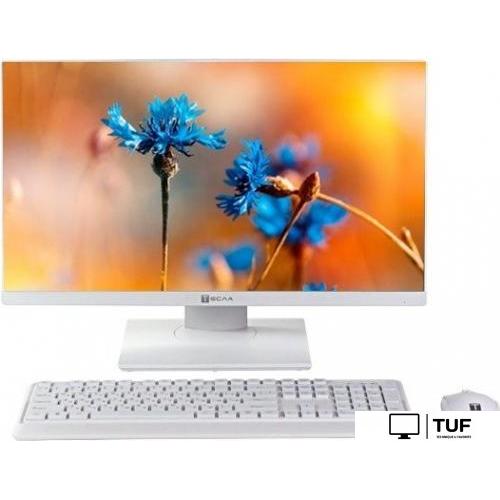 Моноблок ТЕСЛА P24WP 2116500