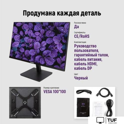 Монитор IRBIS ISM24FIDVesa