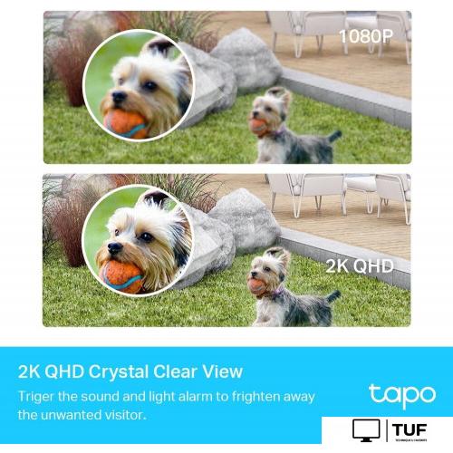 IP-камера TP-Link Tapo C420S1